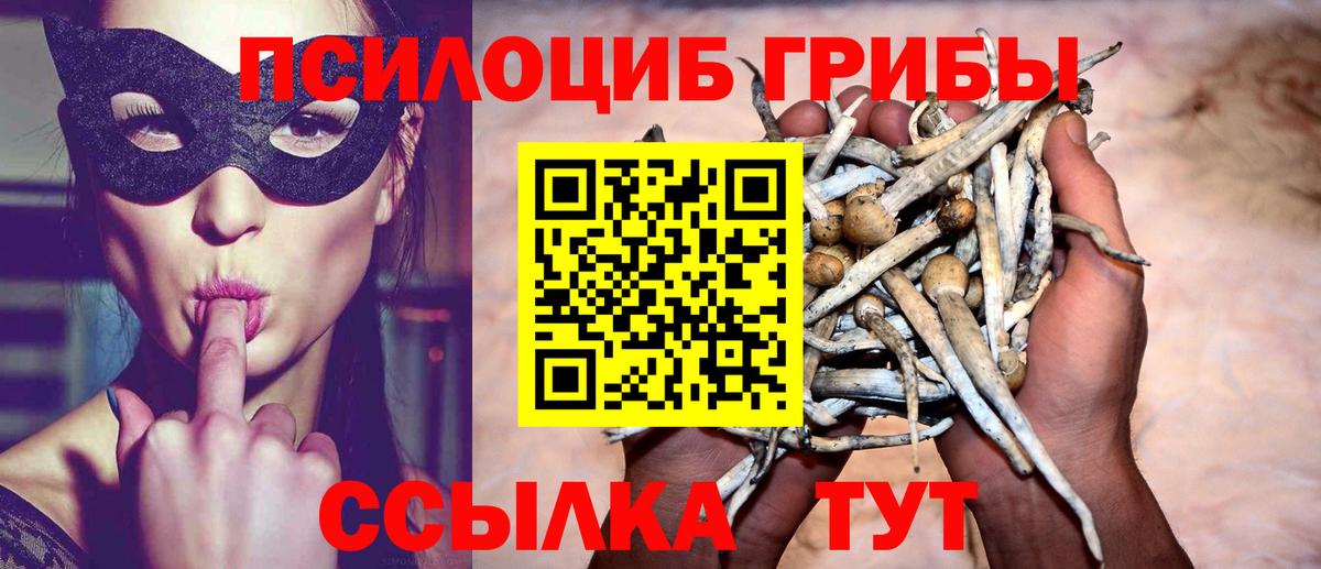 Липецк  Псилоцибиновые грибы прущие грибы  Вход с VPN 