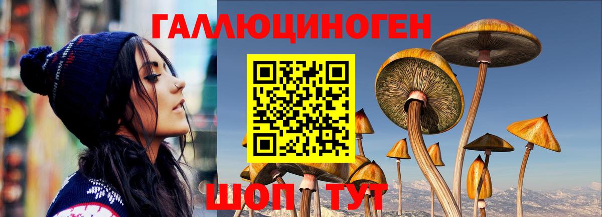 Псилоцибиновые грибы Psilocybe Липецк